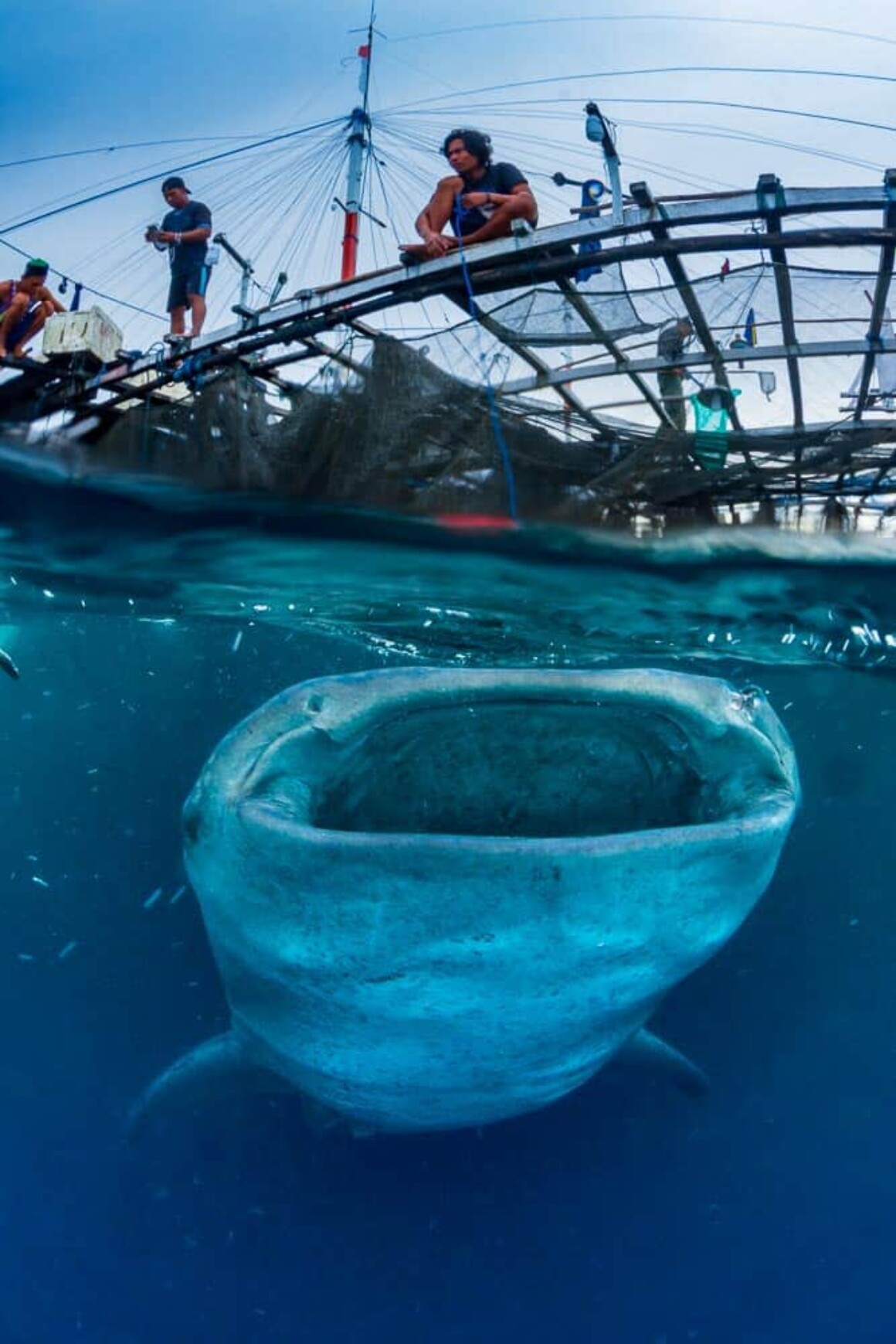 Underwater Portfolio One