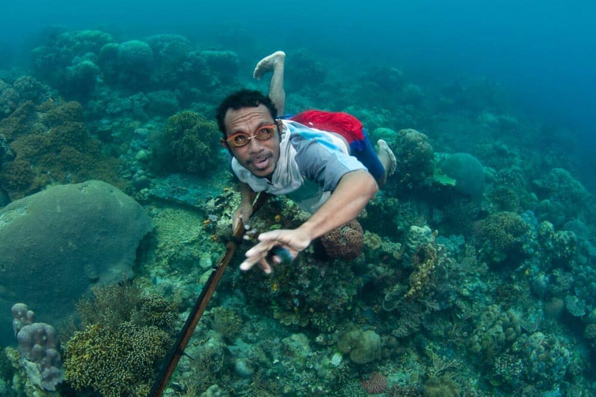 Underwater Portfolio One