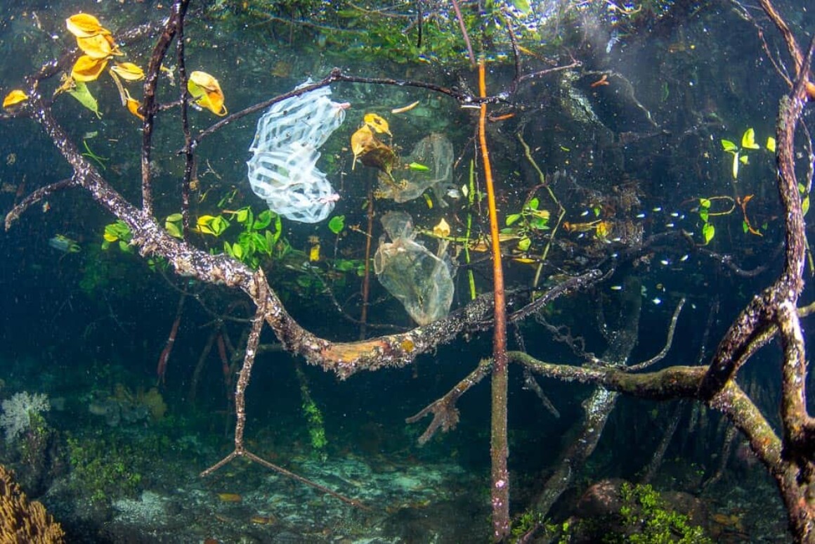 Underwater Portfolio One