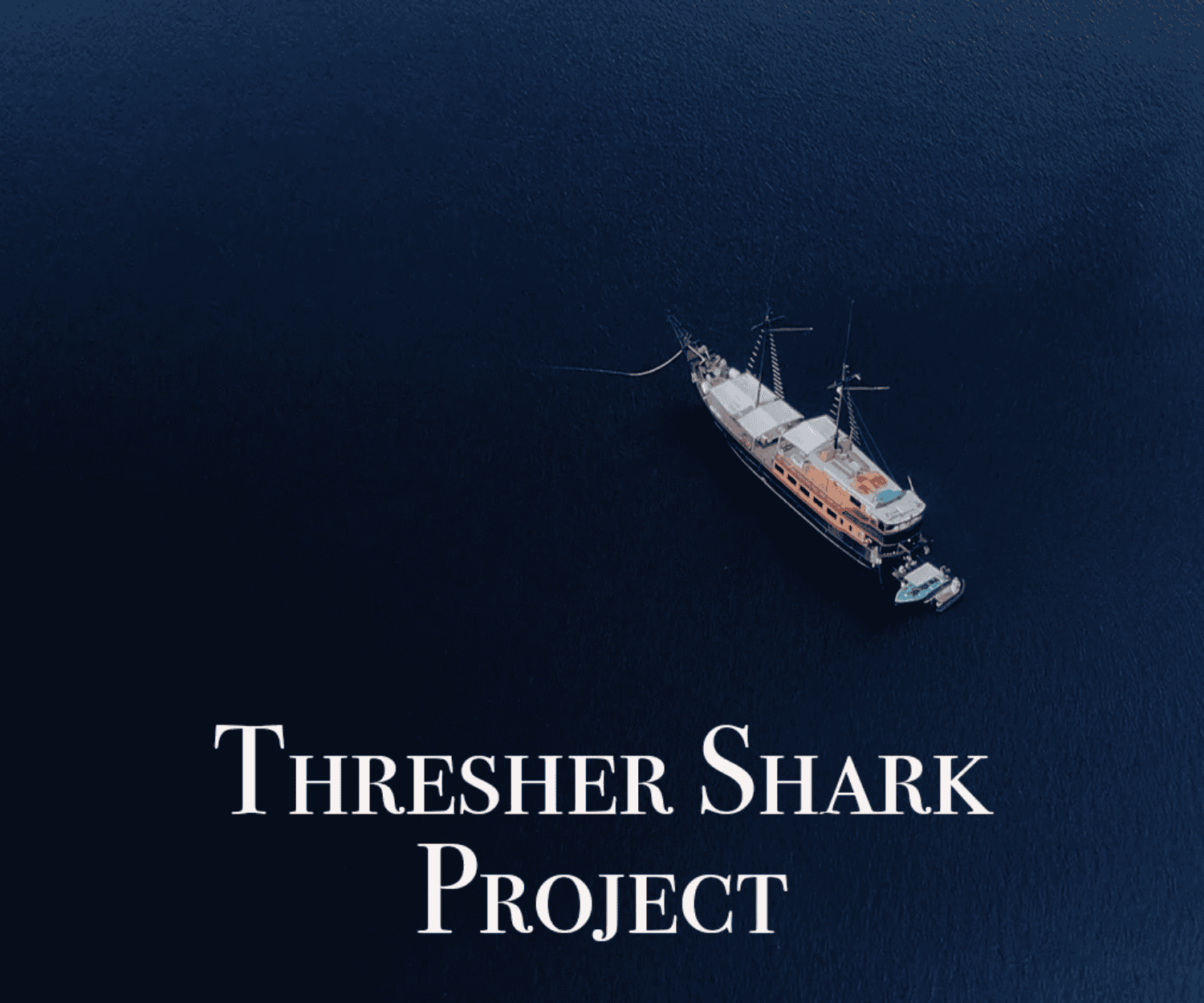 Thresher Sharks