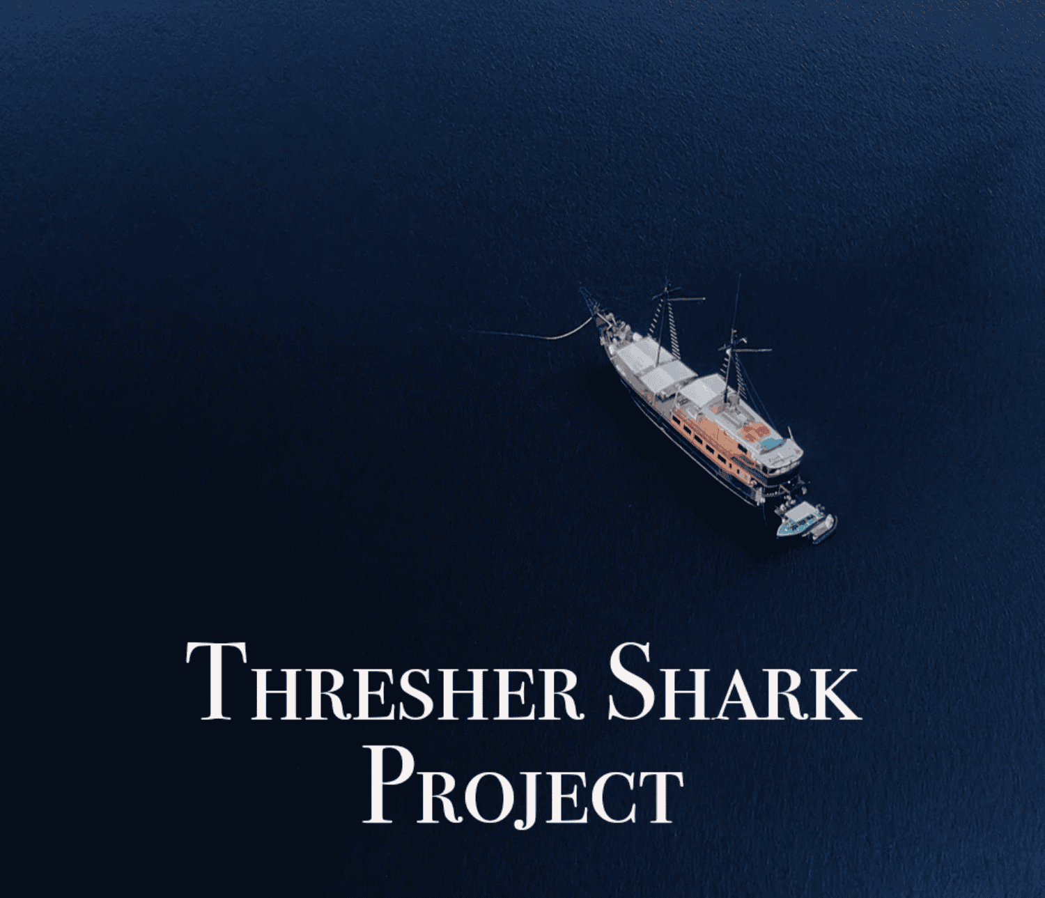 Thresher Sharks
