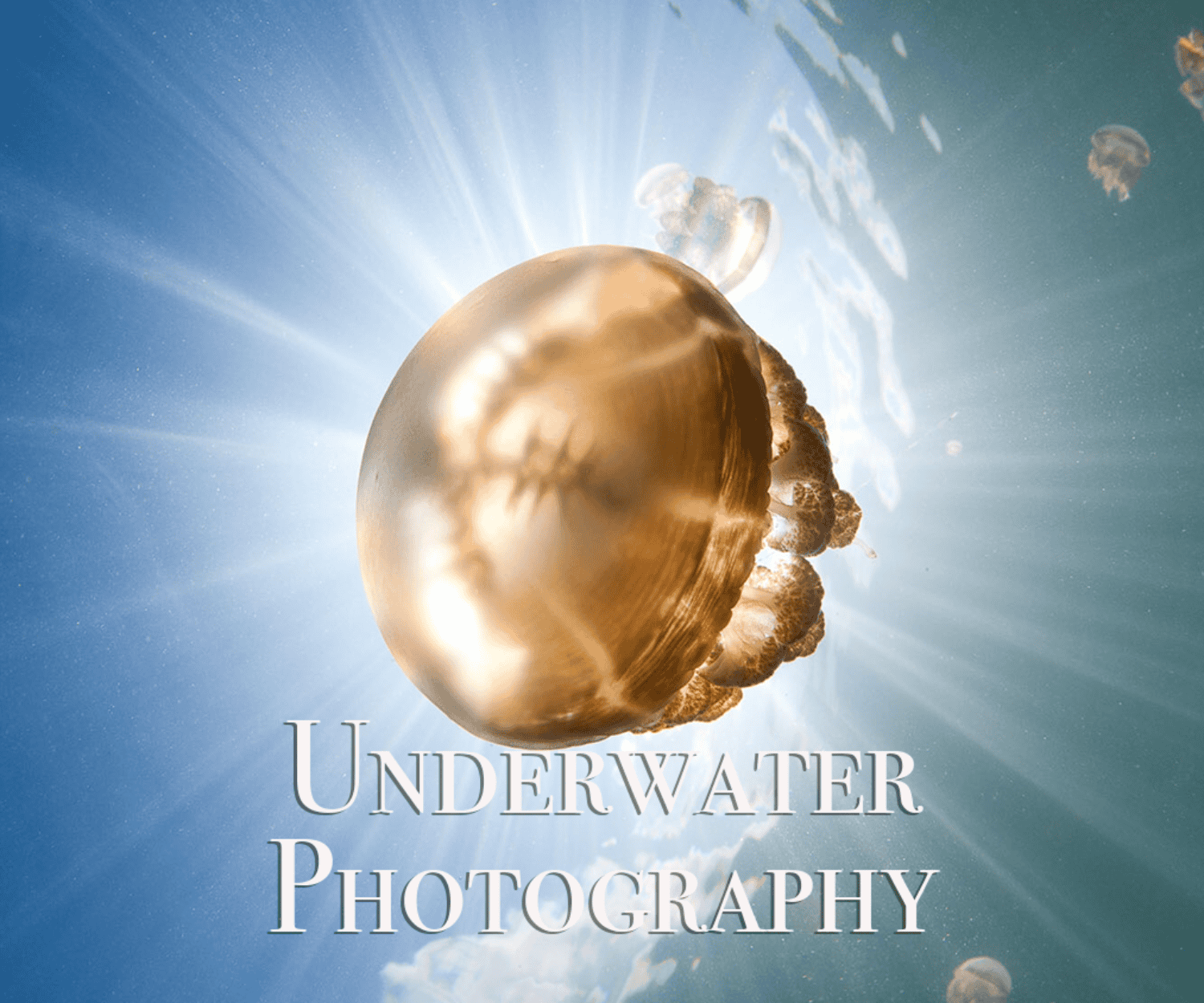 Underwater Photography