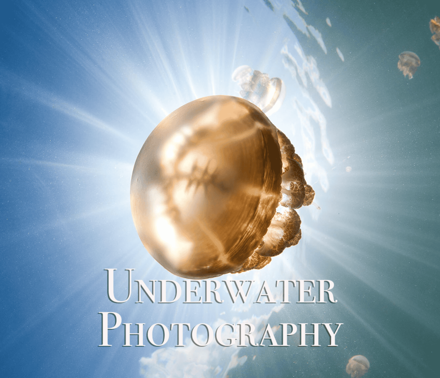 Underwater Photography
