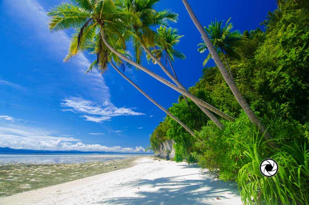 Raja Ampat