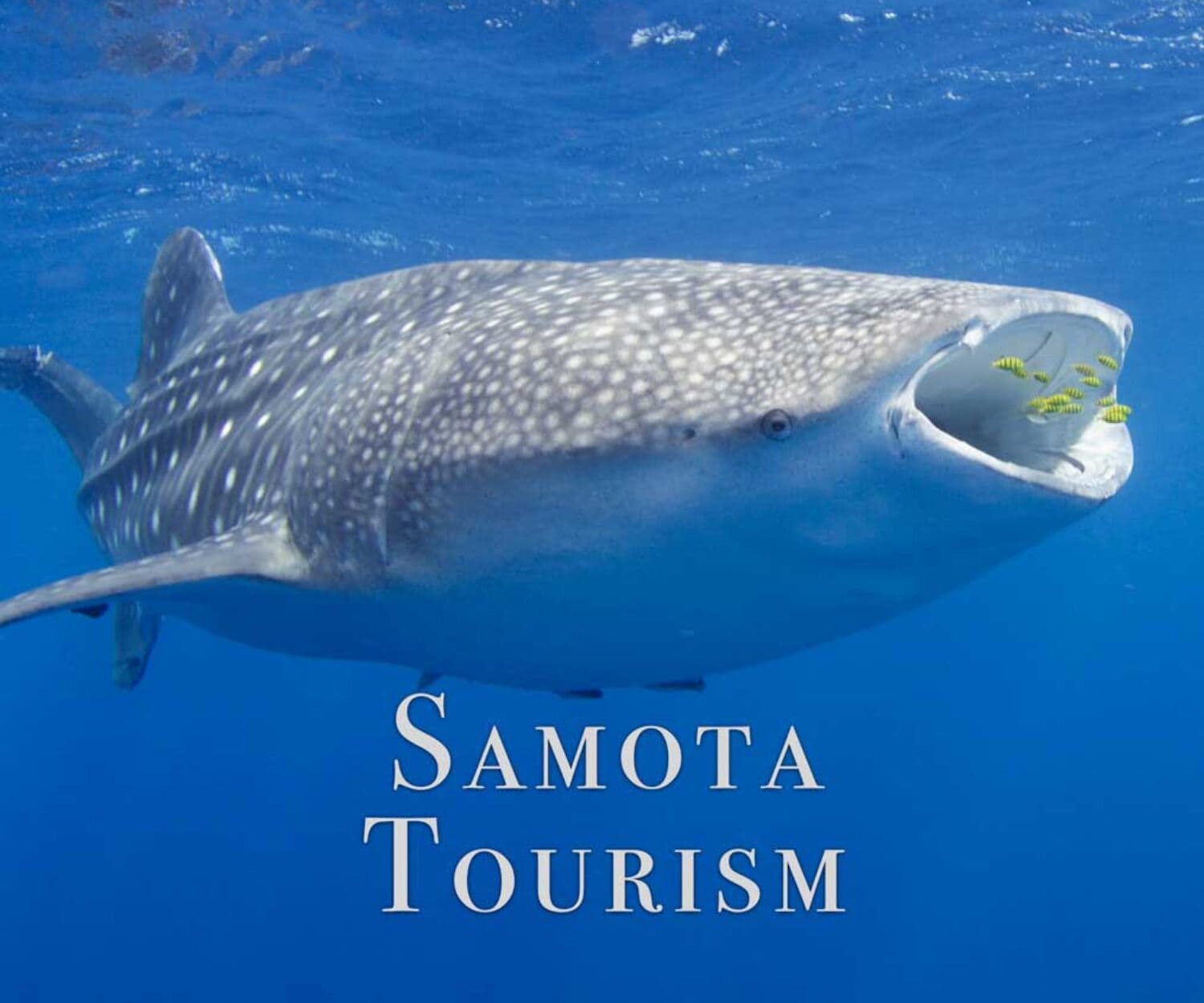 Samota Tourism