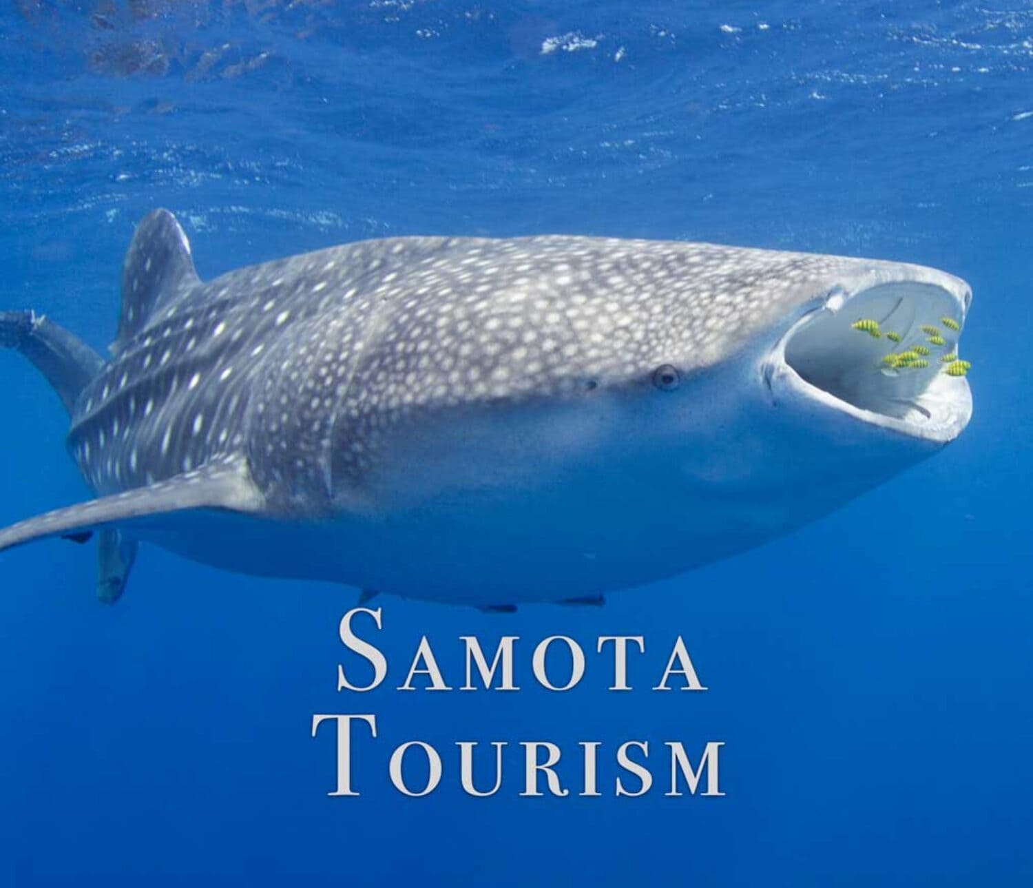 Samota Tourism