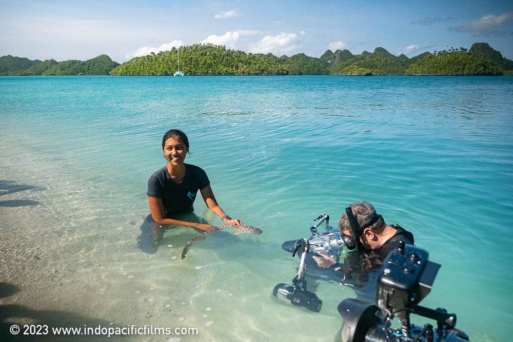 Reshark Release Raja Ampat