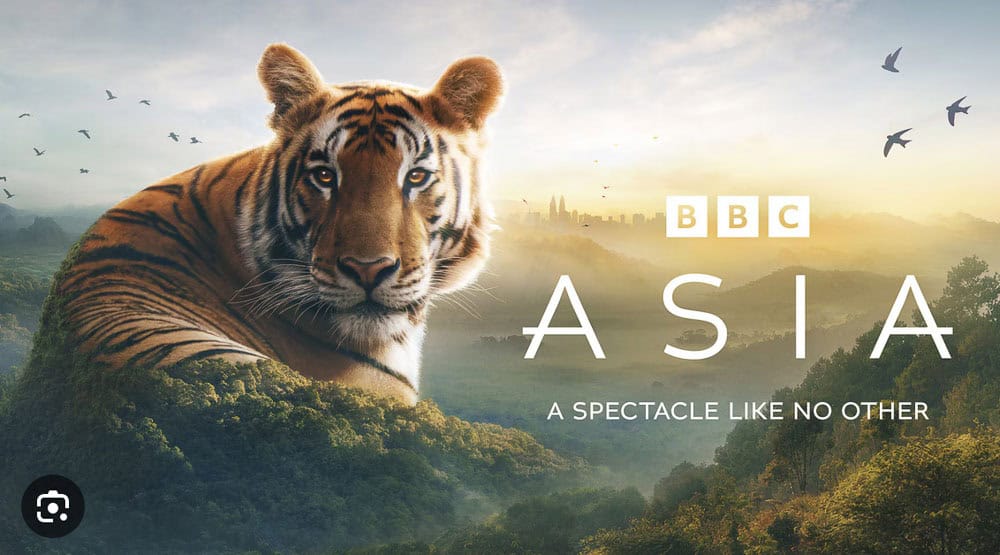 BBC Asia Cover