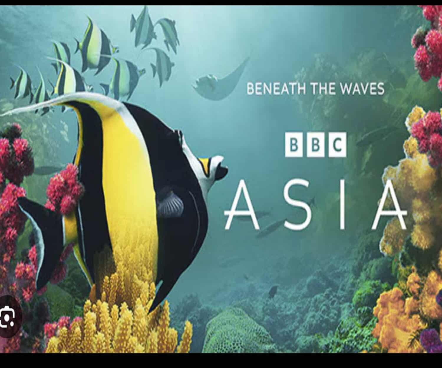 BBC Asia Beneath the Waves