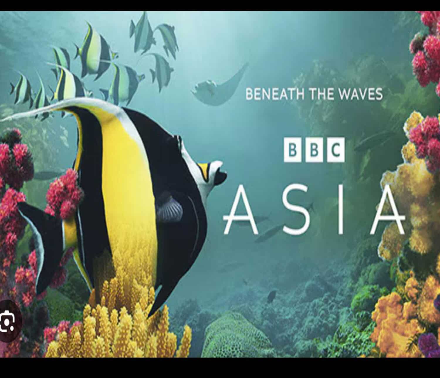 BBC Asia Beneath the Waves